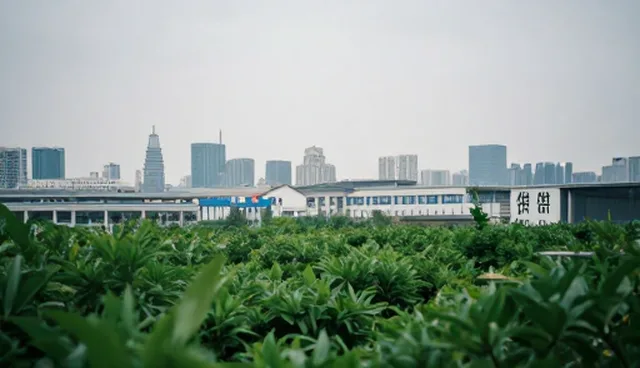 企业名录数据库信息匹配效率提升技巧，降低选型成本